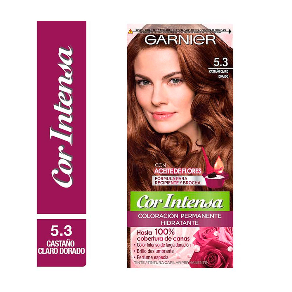 KIT TINTE GARNIER