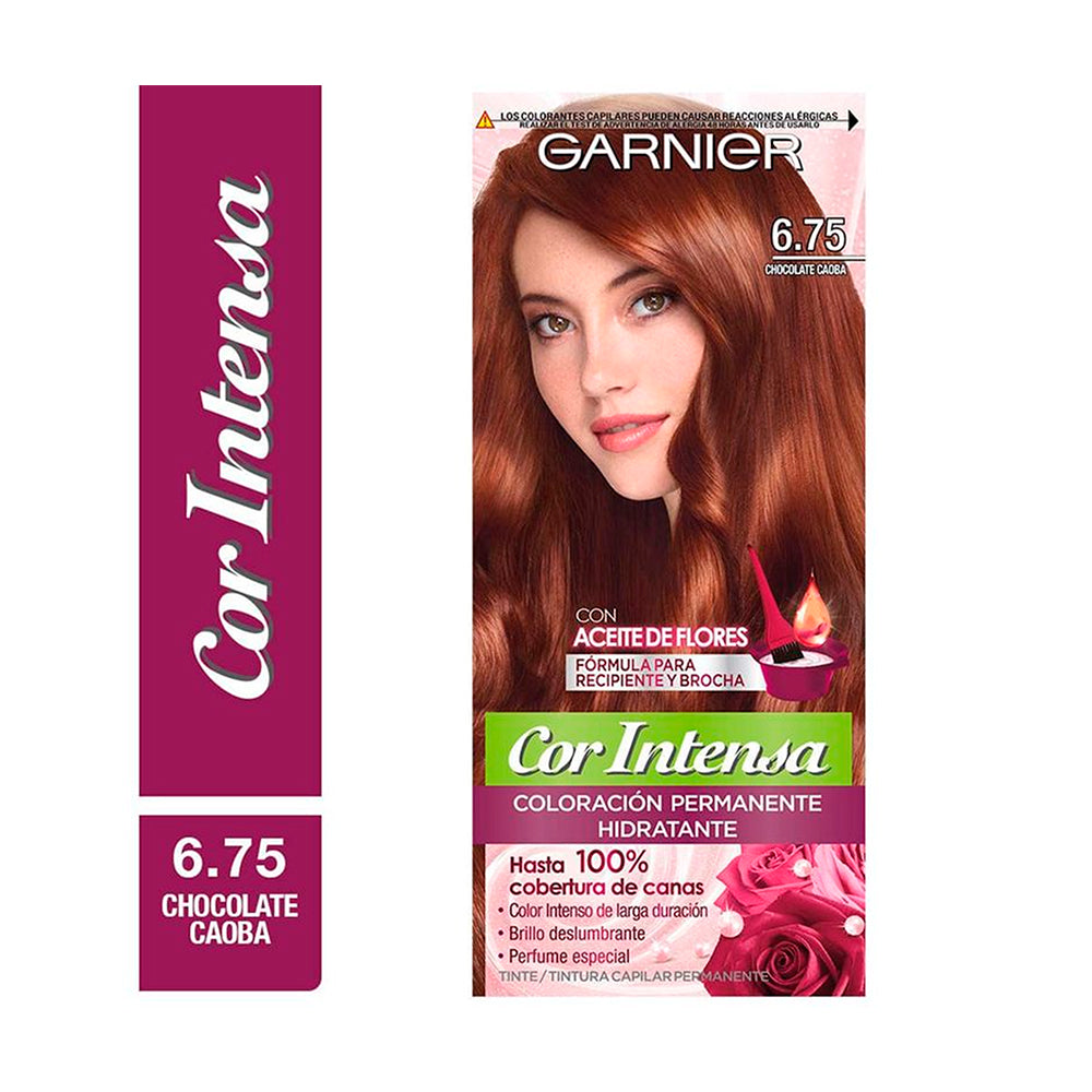 KIT TINTE GARNIER