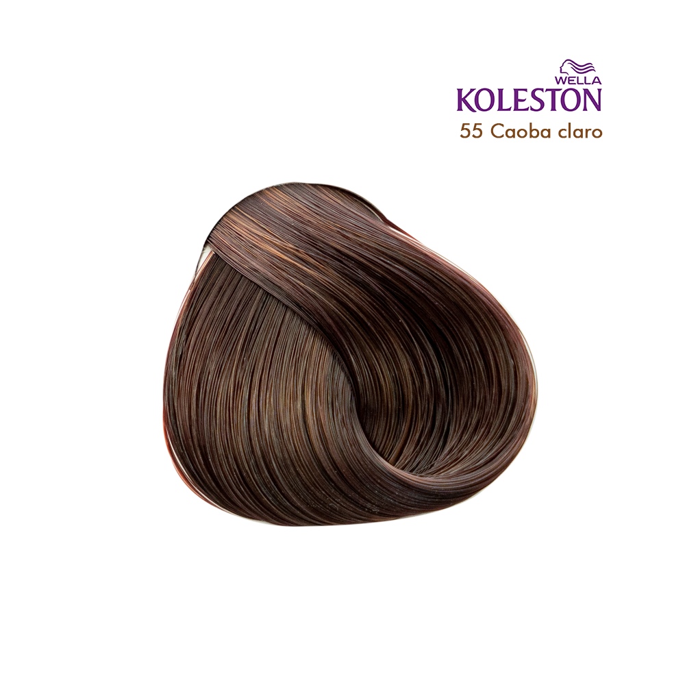 TINTE KOLESTON DUO