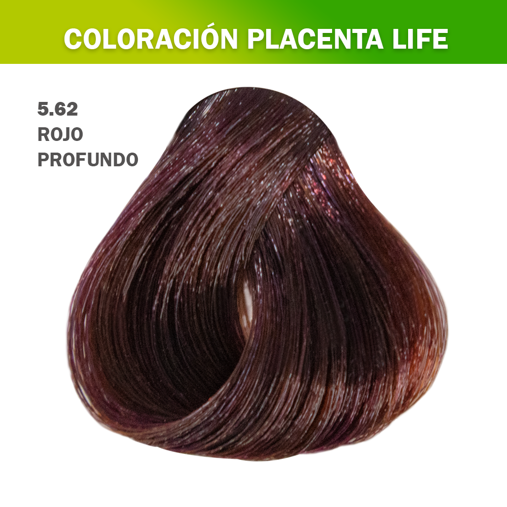 TINTE TUBO PLACENTA LIFE