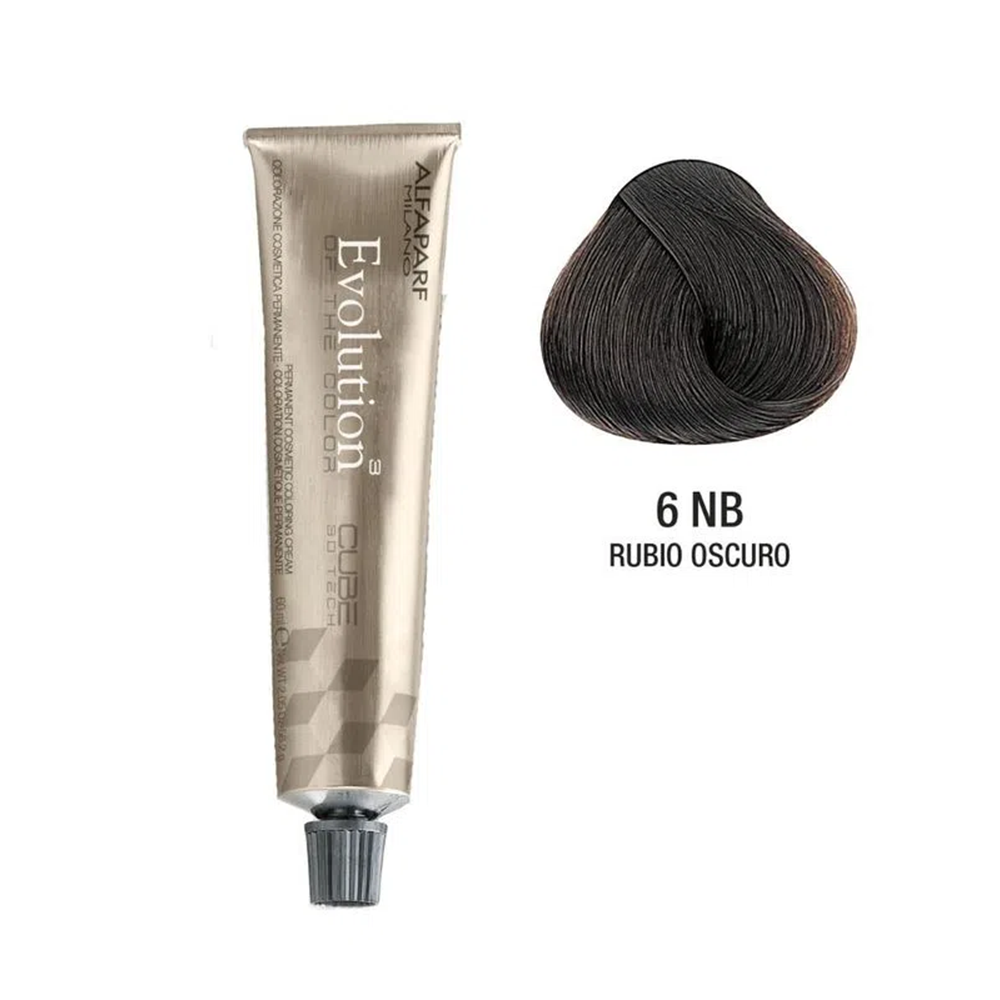 TINTE EVOLUTION X60ML