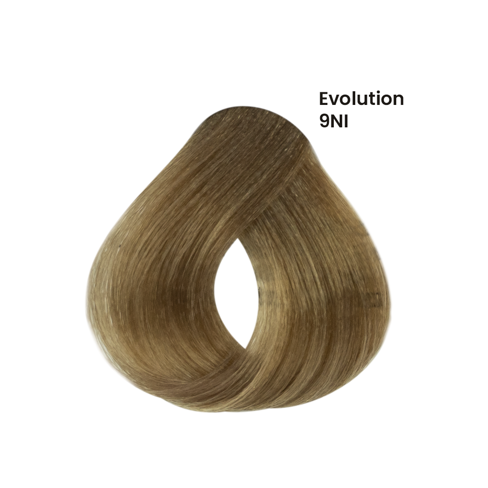 TINTE EVOLUTION X60ML