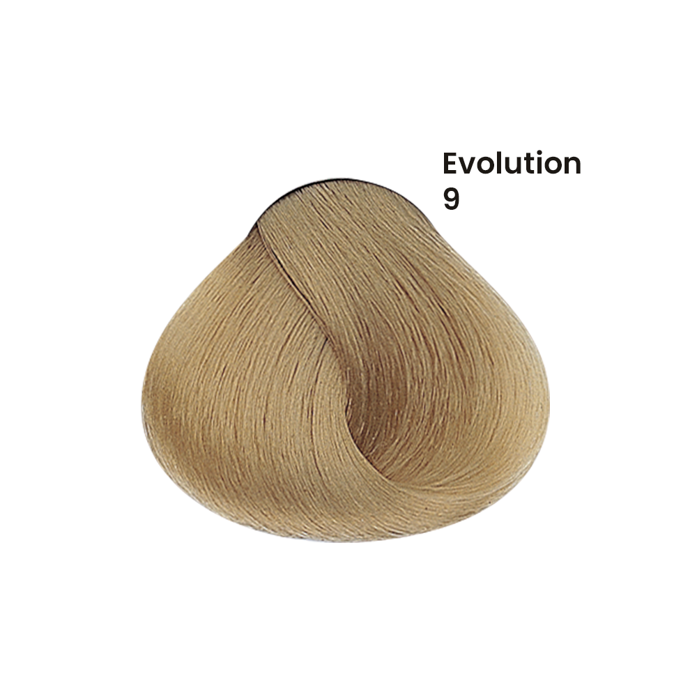 TINTE EVOLUTION X60ML