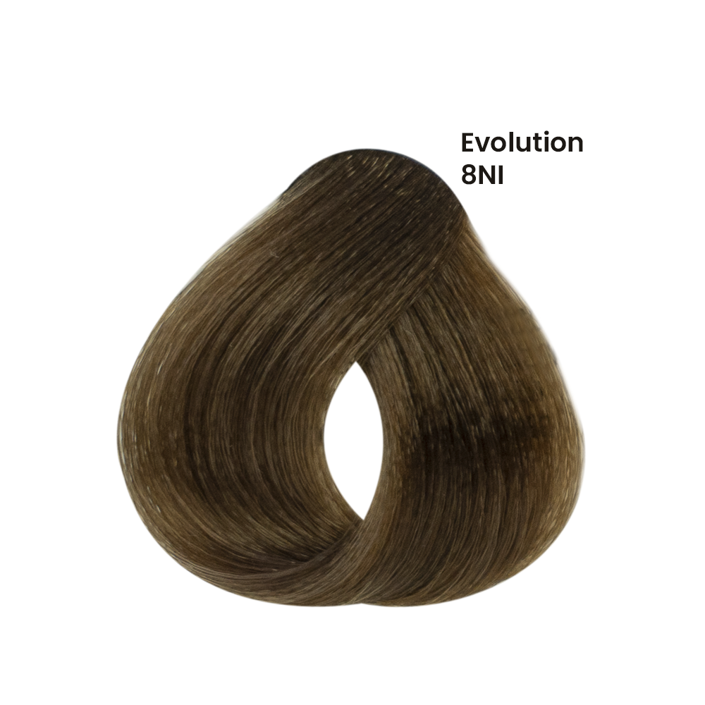 TINTE EVOLUTION X60ML
