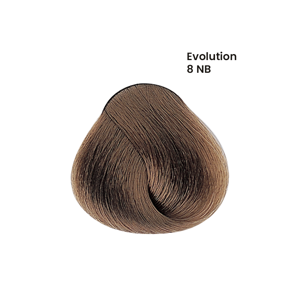 TINTE EVOLUTION X60ML