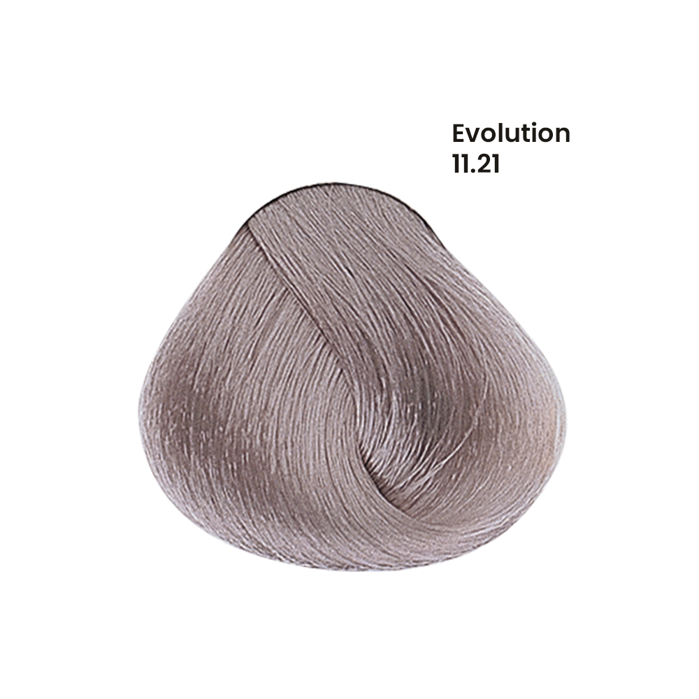 TINTE EVOLUTION X60ML