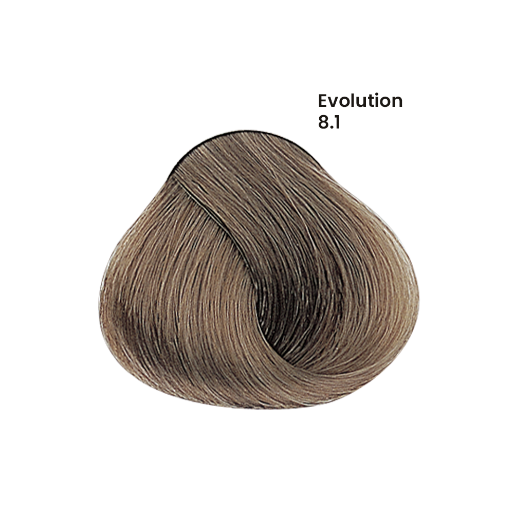 TINTE EVOLUTION X60ML