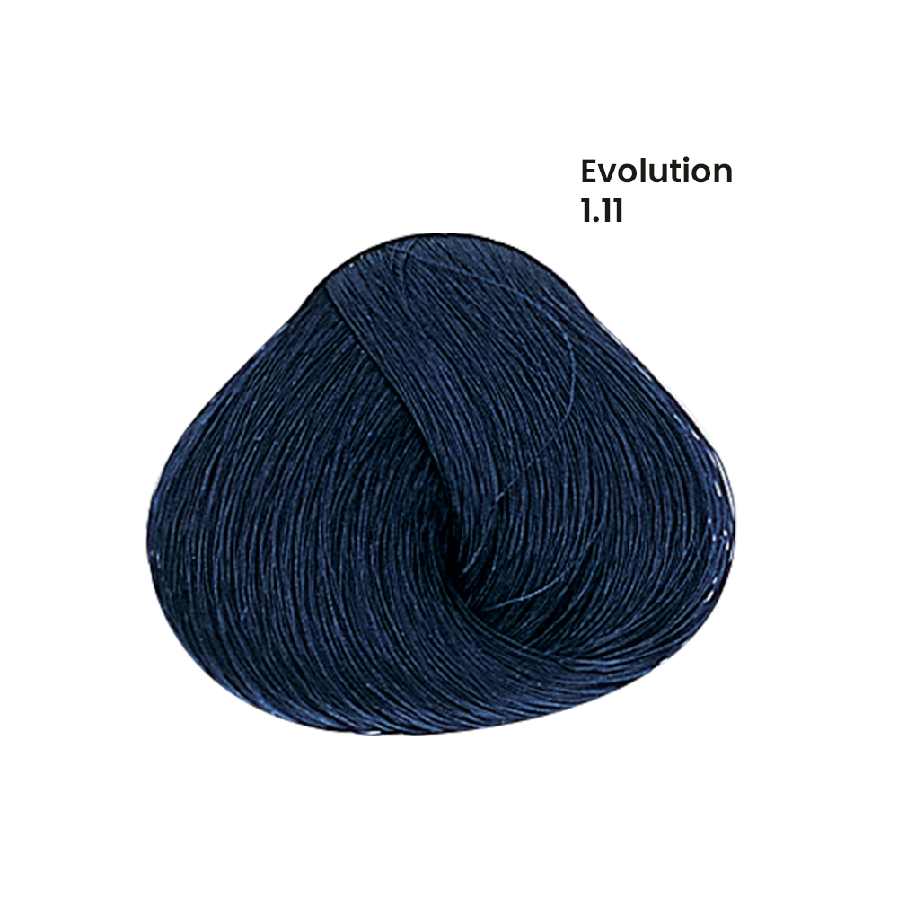 TINTE EVOLUTION X60ML