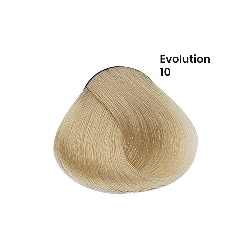 TINTE EVOLUTION X60ML
