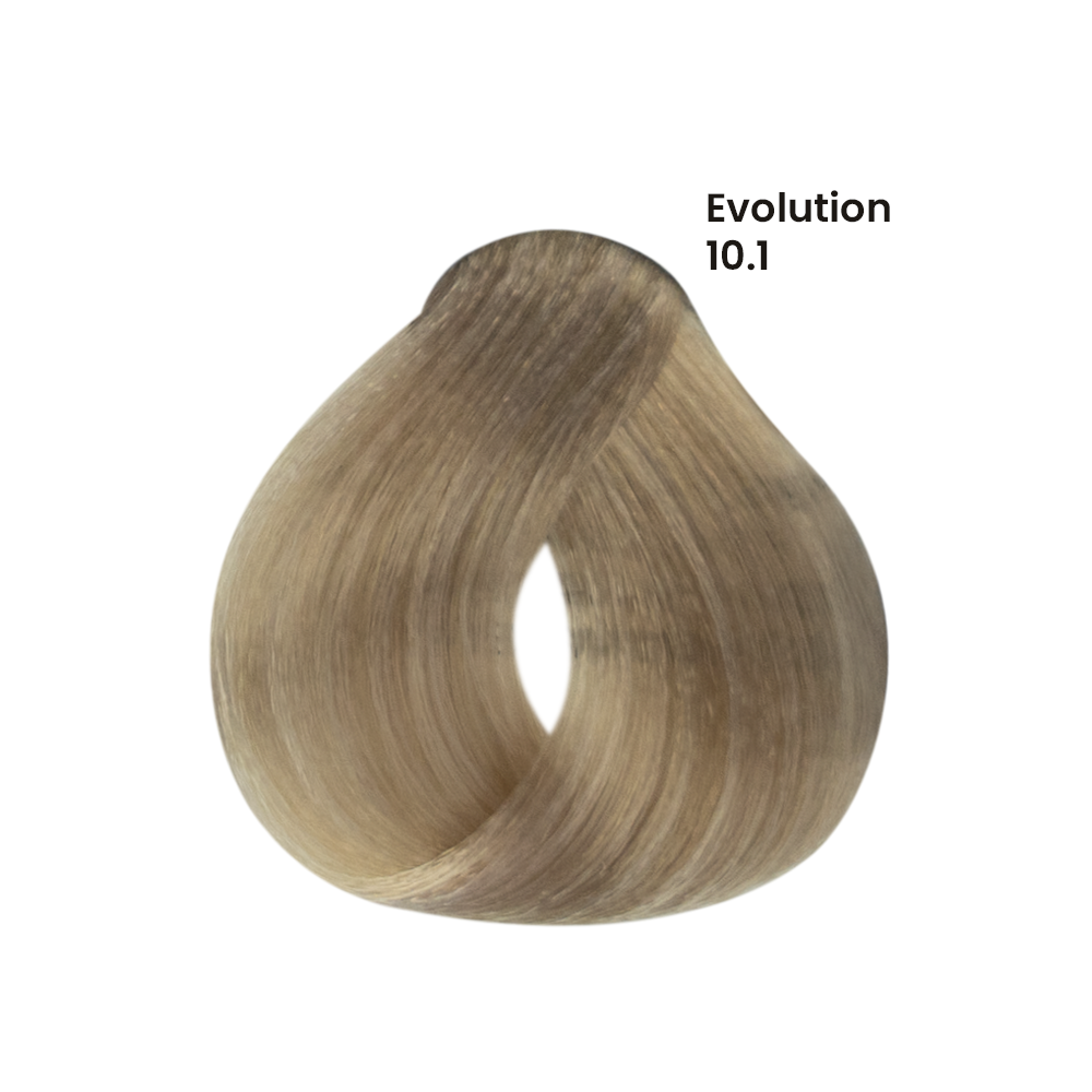 TINTE EVOLUTION X60ML