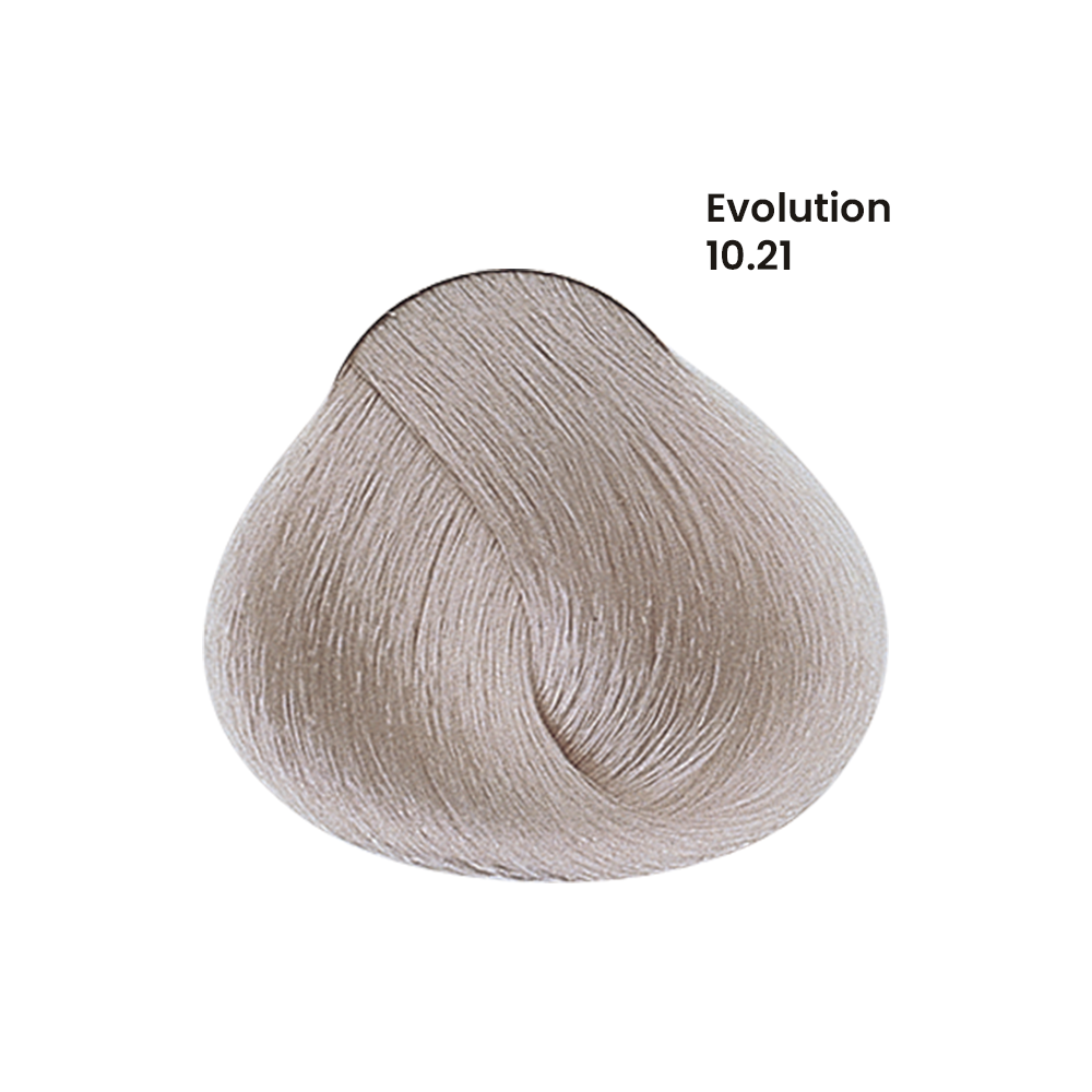 TINTE EVOLUTION X60ML