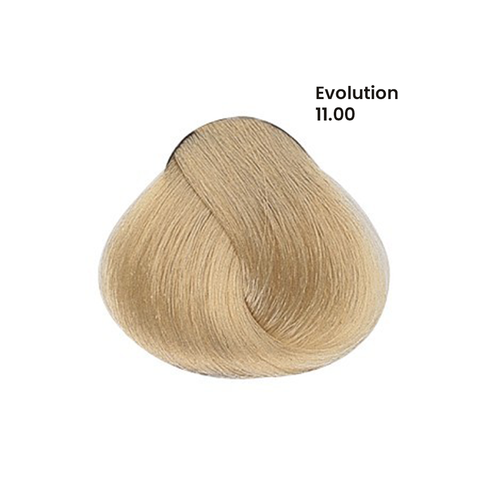 TINTE EVOLUTION X60ML