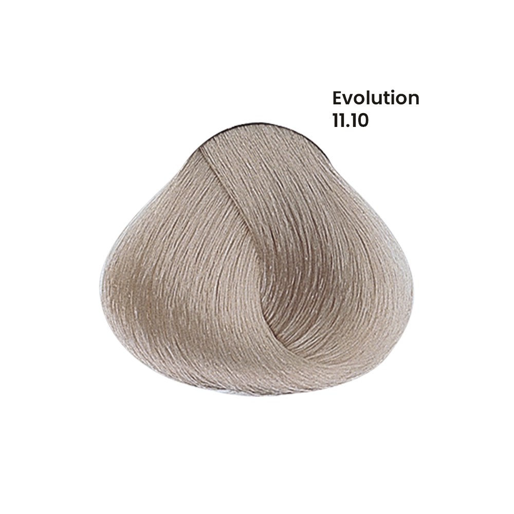 TINTE EVOLUTION X60ML