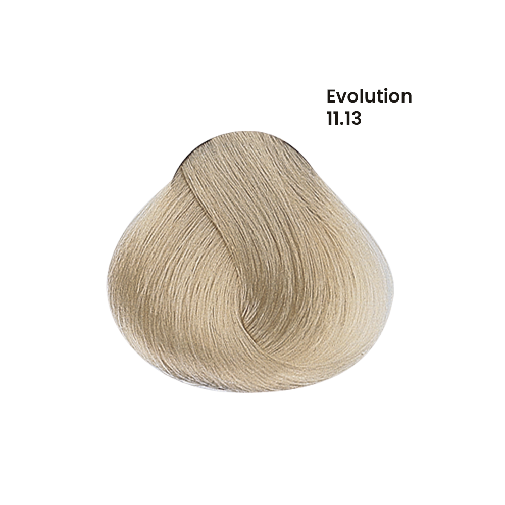 TINTE EVOLUTION X60ML