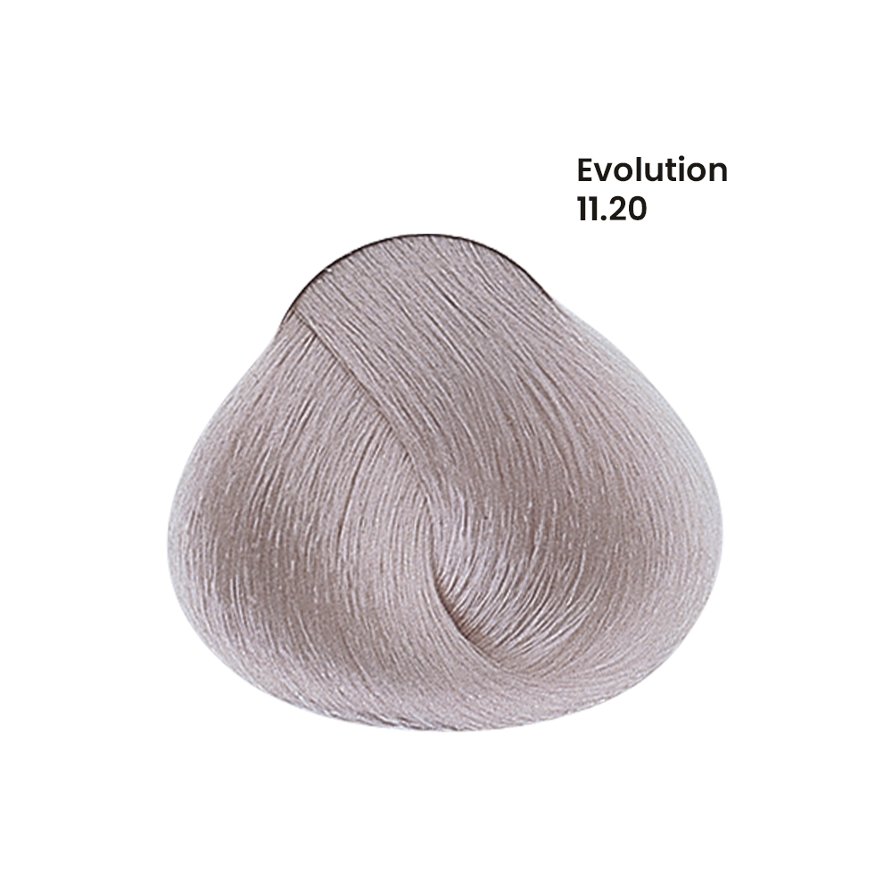 TINTE EVOLUTION X60ML