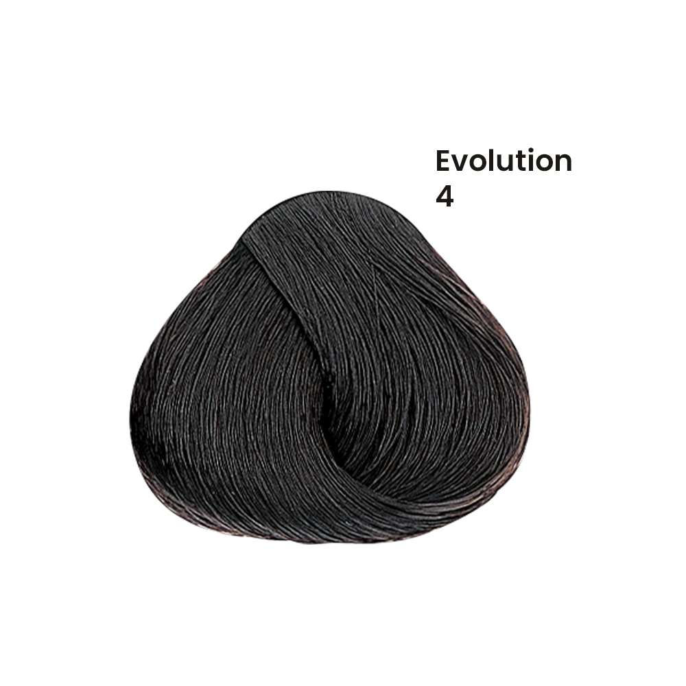 TINTE EVOLUTION X60ML