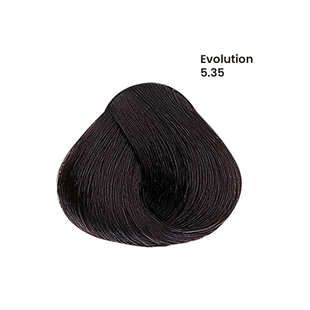 TINTE EVOLUTION X60ML