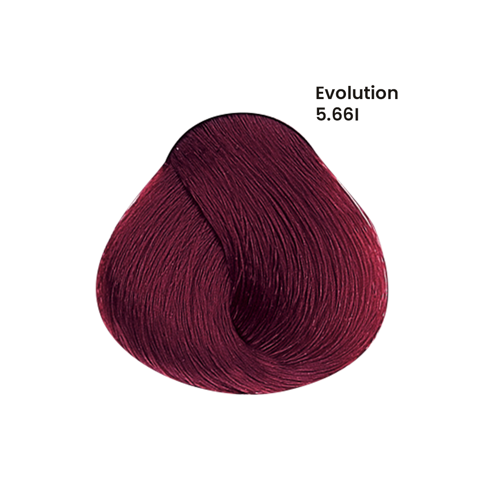 TINTE EVOLUTION X60ML