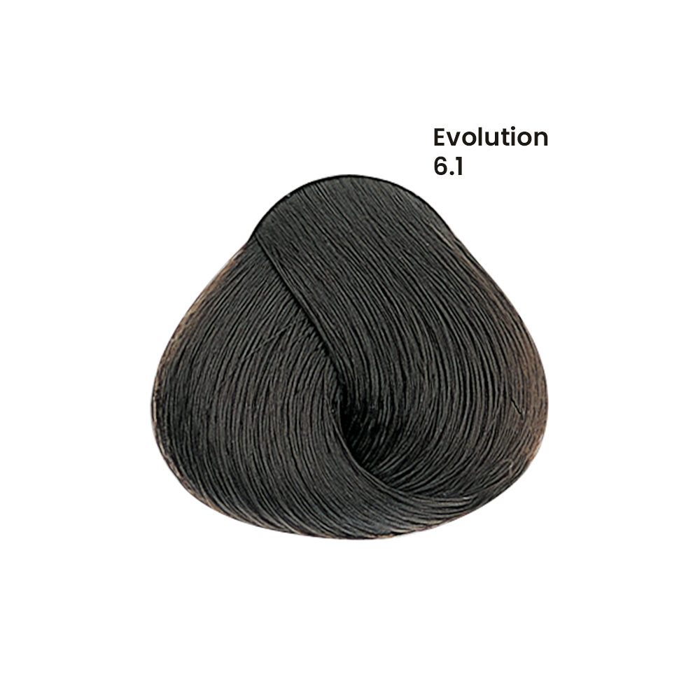 TINTE EVOLUTION X60ML