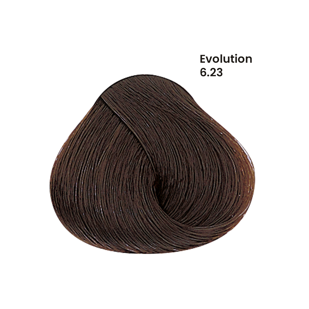 TINTE EVOLUTION X60ML