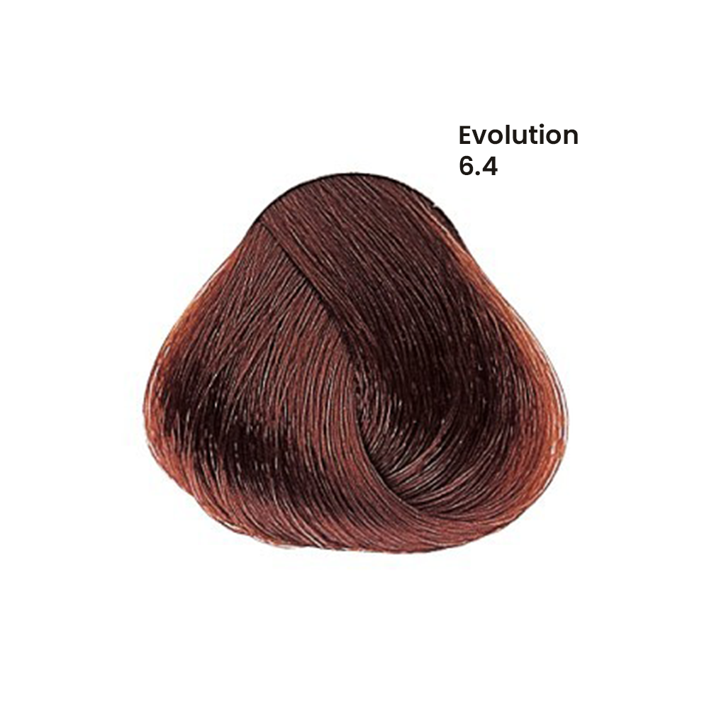 TINTE EVOLUTION X60ML