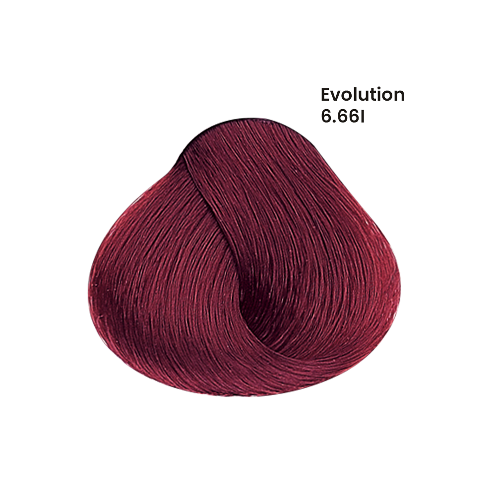 TINTE EVOLUTION X60ML