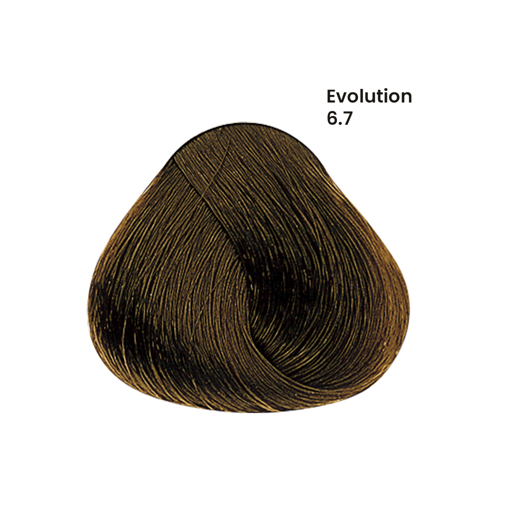 TINTE EVOLUTION X60ML