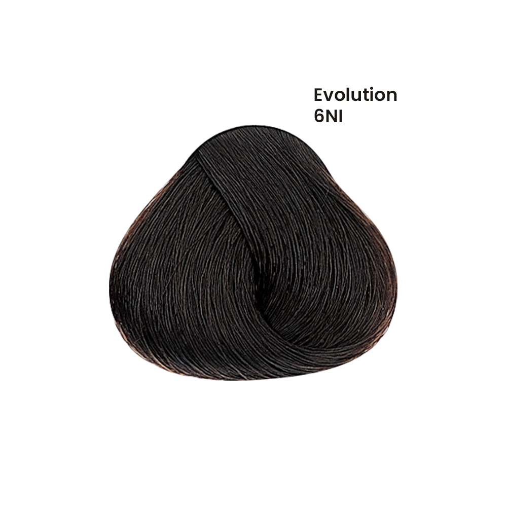 TINTE EVOLUTION X60ML