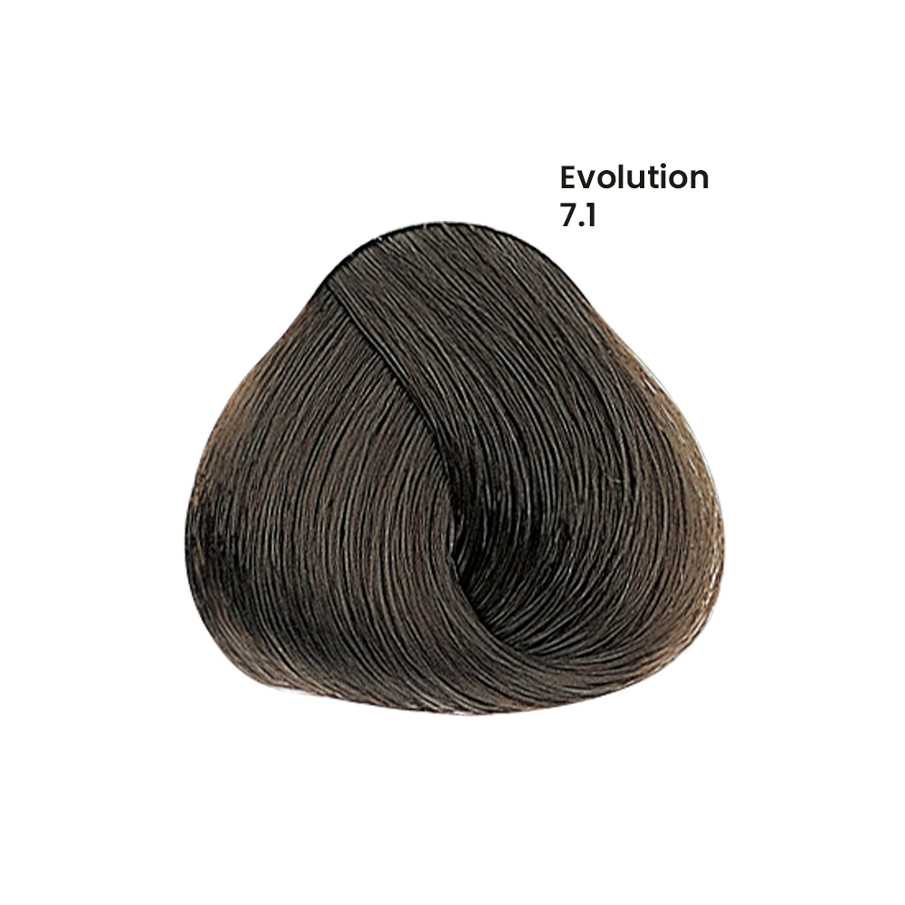 TINTE EVOLUTION X60ML