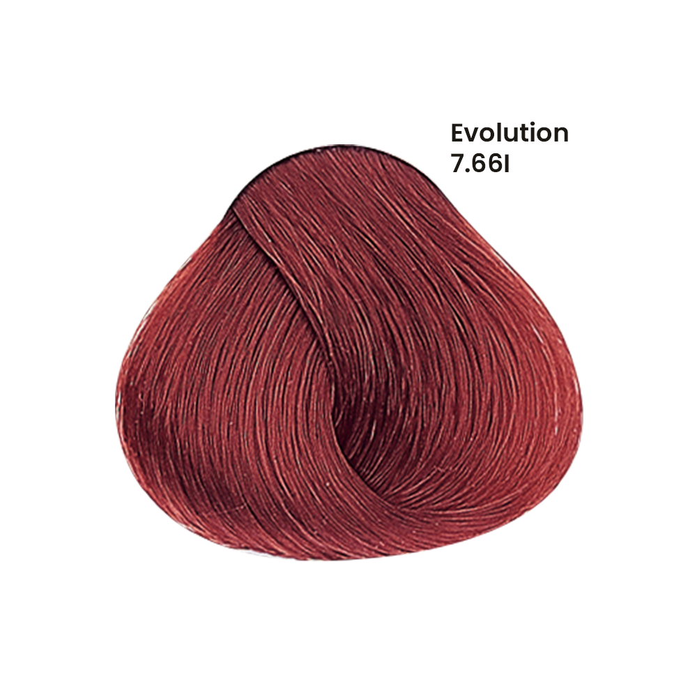TINTE EVOLUTION X60ML