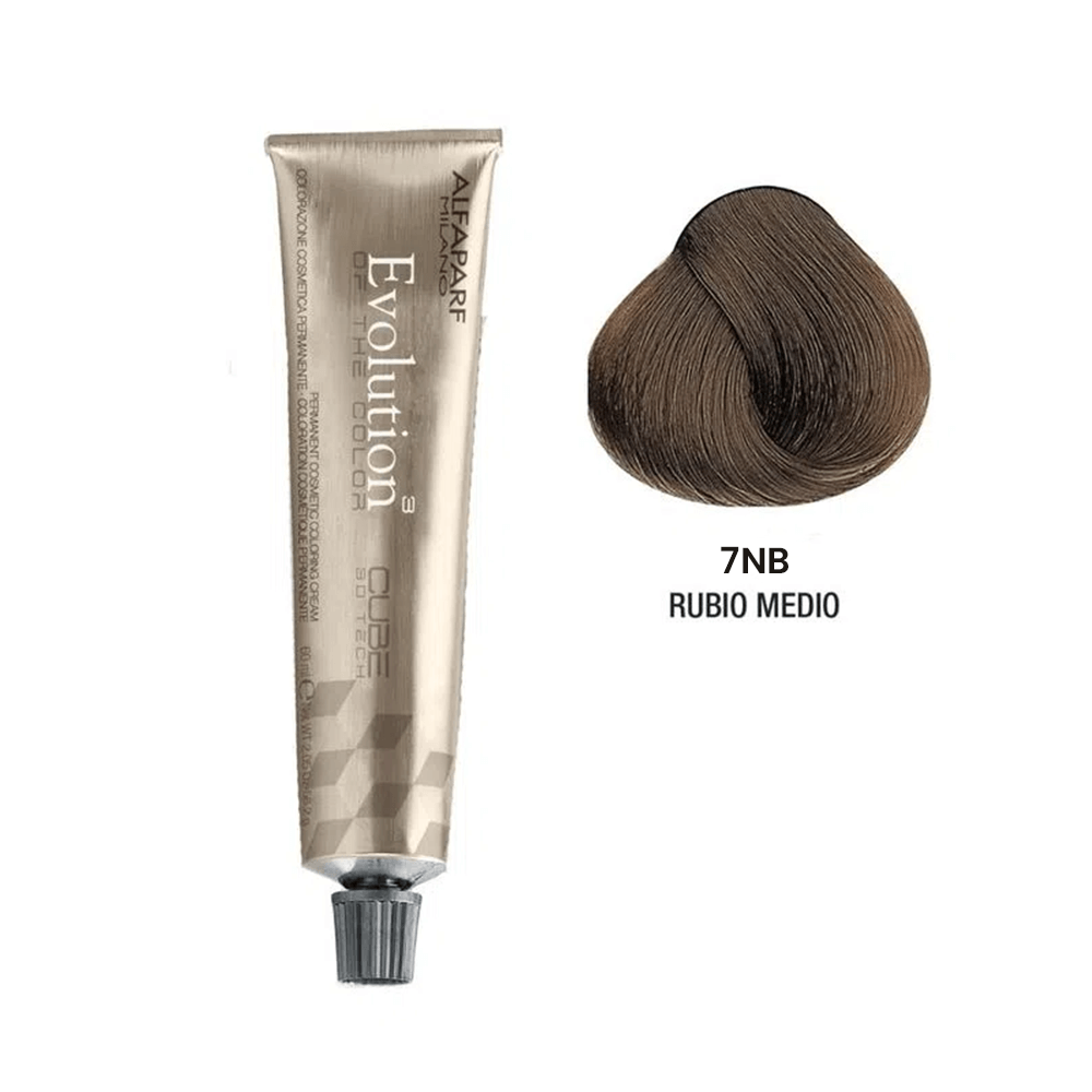 TINTE EVOLUTION X60ML