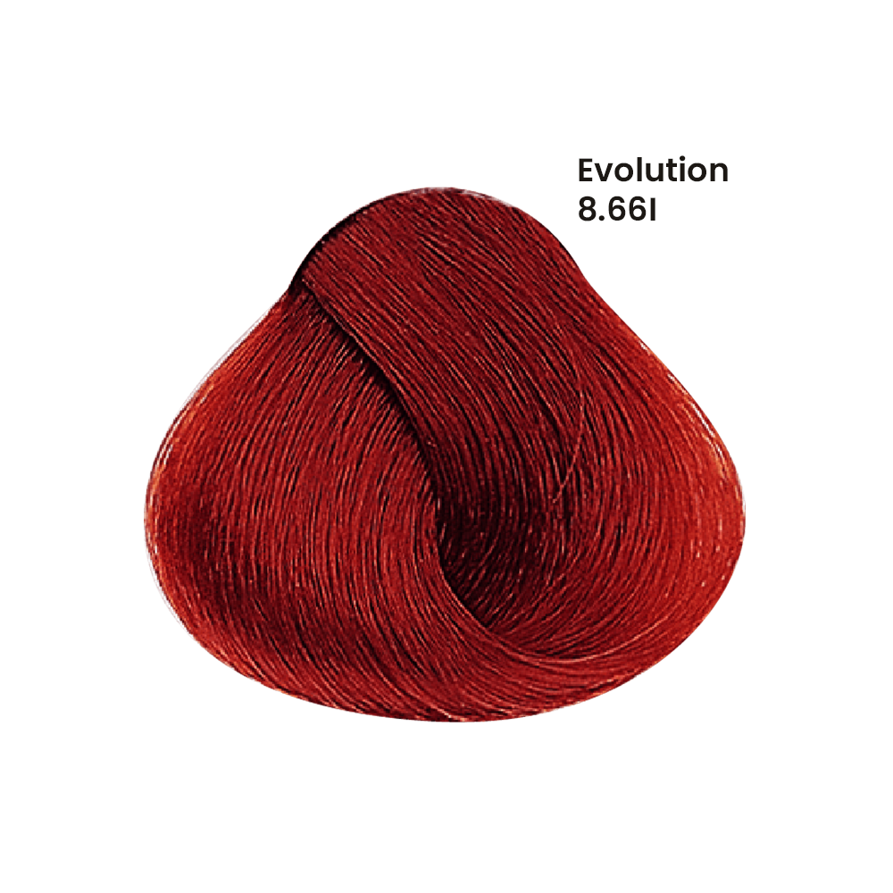 TINTE EVOLUTION X60ML