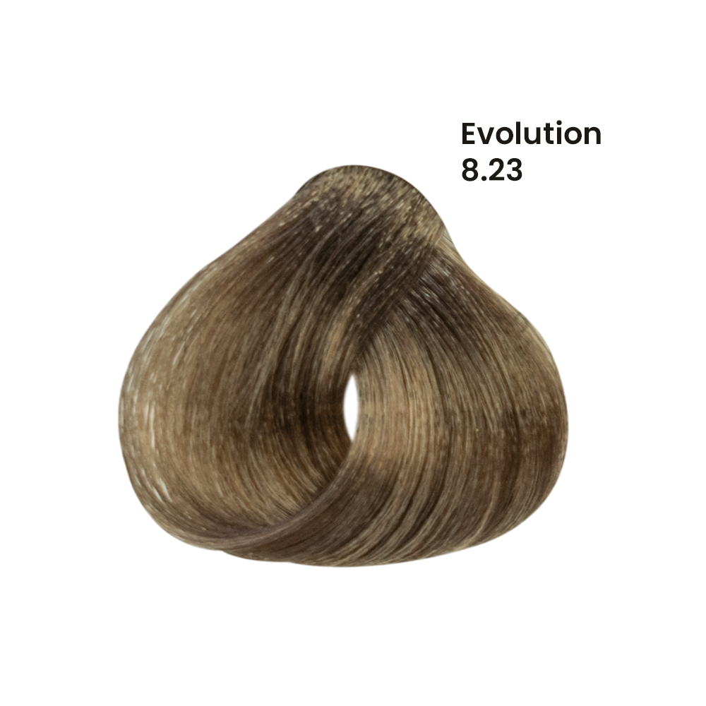 TINTE EVOLUTION X60ML