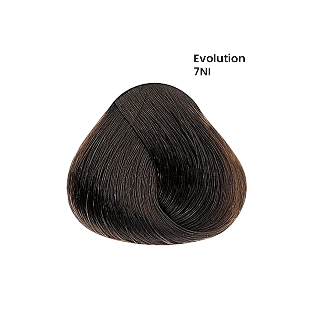 TINTE EVOLUTION X60ML